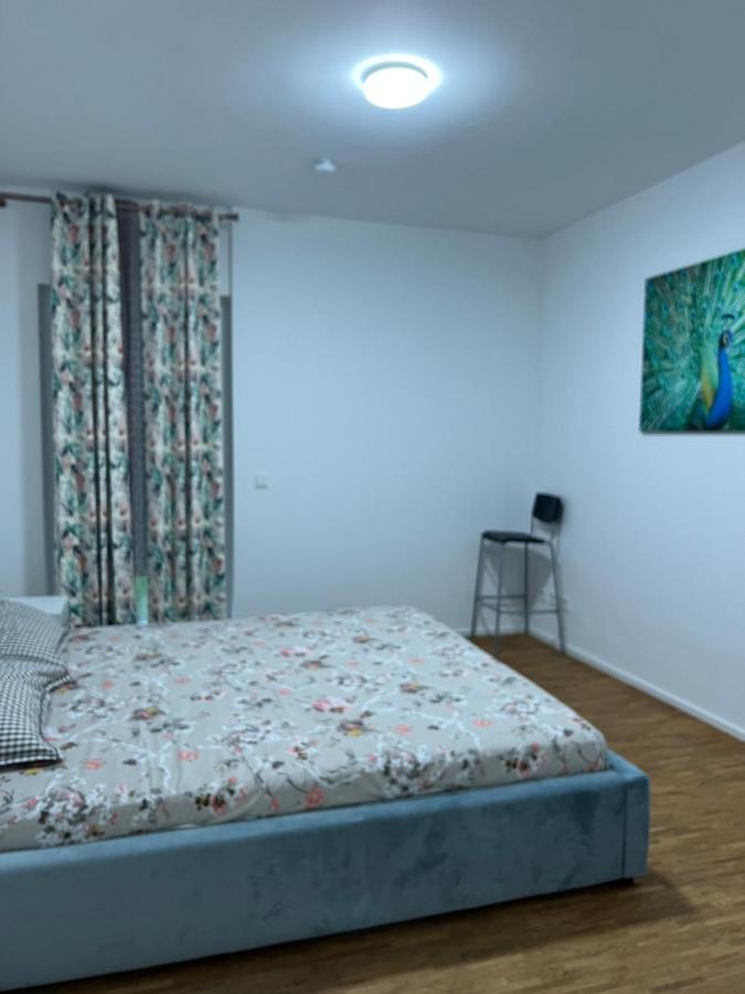 Three Bedroom Apartment In City Centre With A Grand Garden Frankfurt am Main Exteriör bild